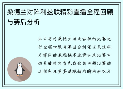 桑德兰对阵利兹联精彩直播全程回顾与赛后分析